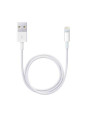 Official Apple 5W iPad Air Charger & 1m Cable Bundle